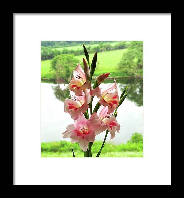 Admiration Framed Print featuring the photograph Still Life by Catherine Arcolio