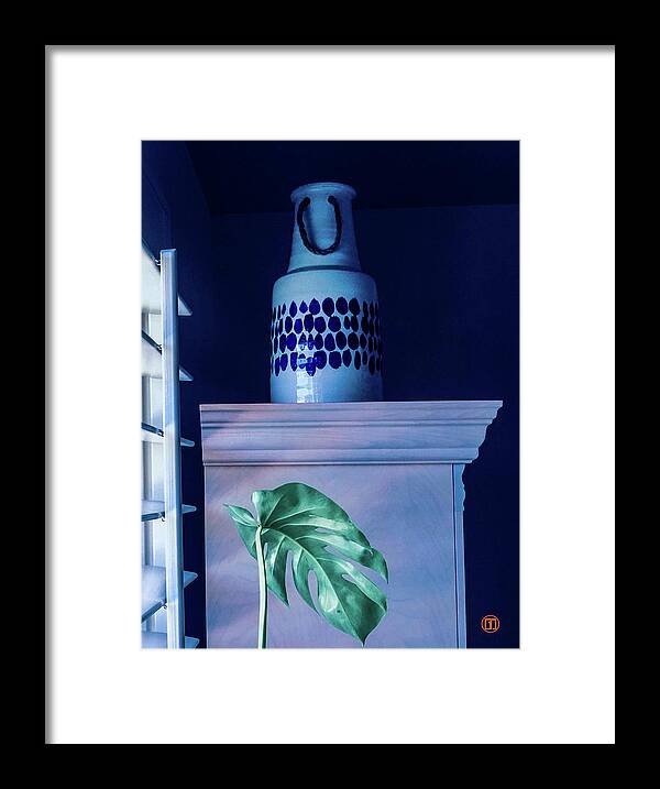 Mostera Framed Print featuring the photograph Still Life with Monstera Leaf by Grey Coopre