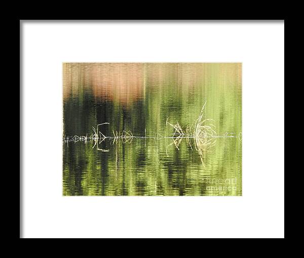 Water Framed Print featuring the photograph Stillness by Nicola Finch