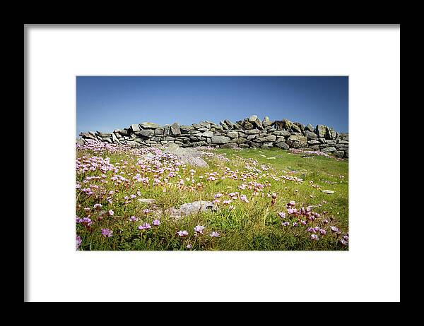 Abundance Framed Print featuring the photograph Stone Wall Horizon by Mark Callanan