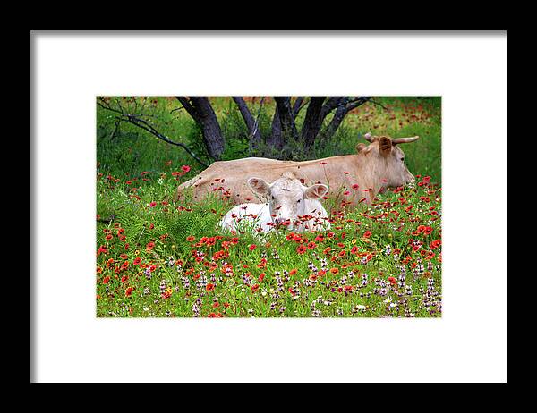 Texas Wildflowers Framed Print featuring the photograph Stop and Smell the Wildflowers by Lynn Bauer