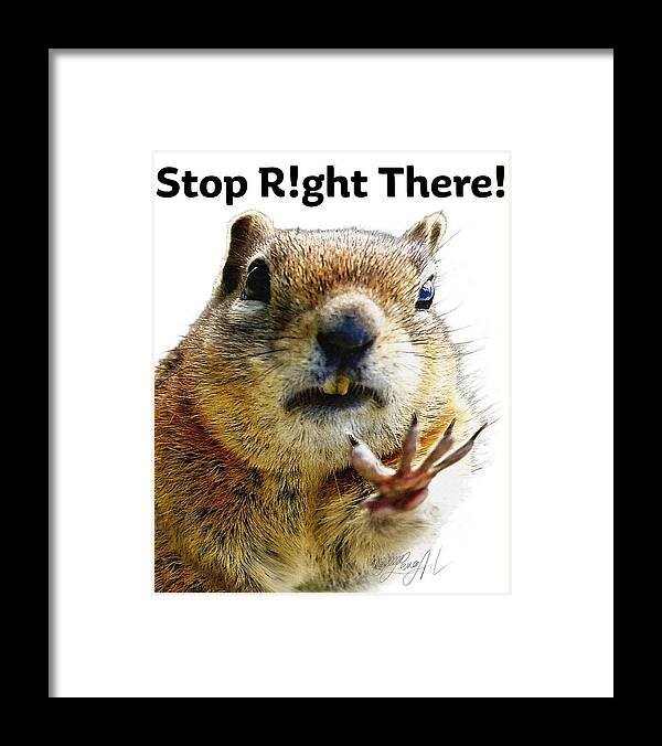 Talk To The Hand Framed Print featuring the photograph Stop Right There - Chipmunk Body Language with Typography by O Lena