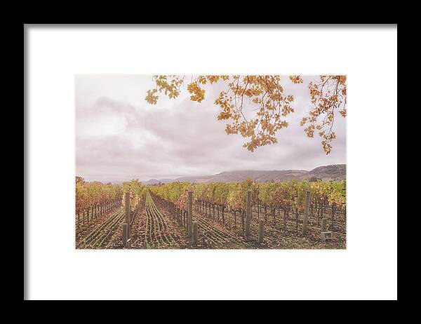 Season Framed Print featuring the photograph Storm Over Vines by Jonathan Nguyen
