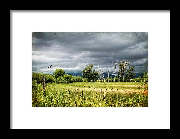 Clouds Framed Print featuring the photograph Storms Coming by Carmen Kern