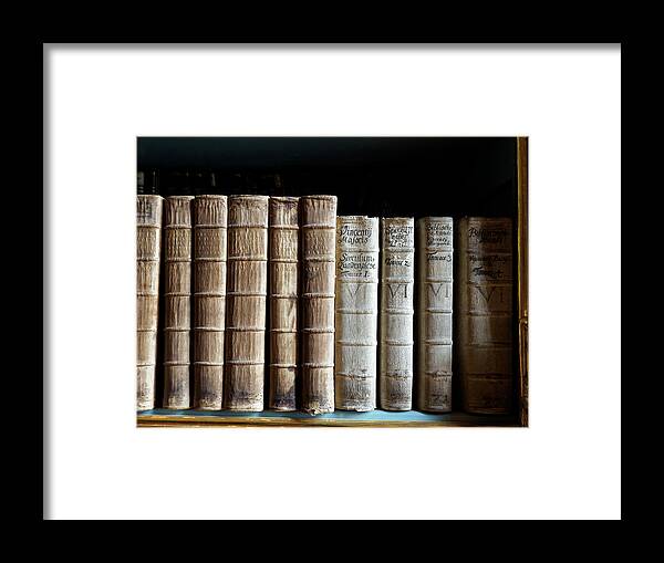 Library Framed Print featuring the photograph Strahov Monastery Books by Mary Lee Dereske