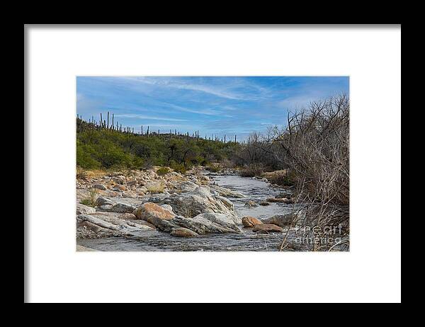 Stream In Catalina Mountains Framed Print featuring the digital art Stream in Catalina Mountains by Tammy Keyes