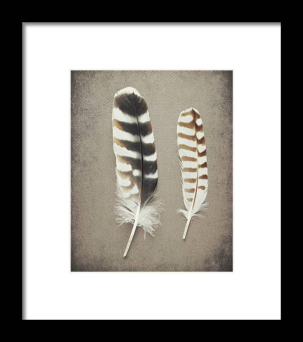 Feathers Framed Print featuring the photograph Striped Pair by Lupen Grainne