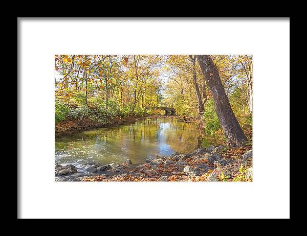 Autumn Framed Print featuring the photograph Struck Gold by Cathy Donohoue