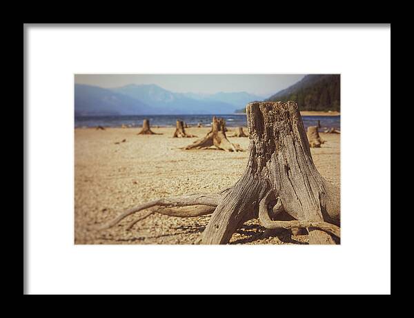 Mountain Framed Print featuring the photograph Stump Town by Go and Flow Photos
