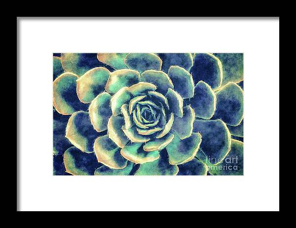 Succulent Framed Print featuring the digital art Succulent Plant by Phil Perkins
