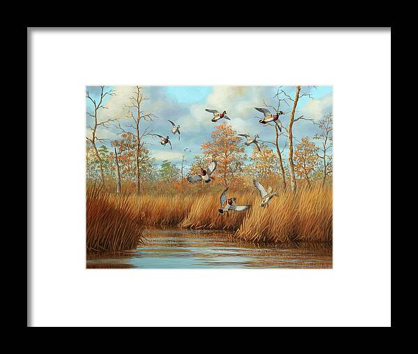 Wood Ducks Framed Print featuring the painting Sudden Arrivals by Guy Crittenden