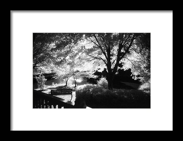 Infrared Black And White Framed Print featuring the photograph Summer at Quiet Waters No.7 - Infrared Black and White Film Photograph by Steve Ember