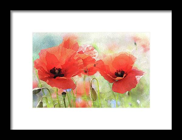 Summer Poppies Framed Print featuring the painting Summer Poppies by Susan Maxwell Schmidt
