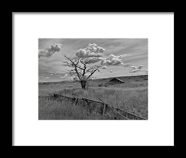Tree Framed Print featuring the photograph Summer Storm Clouds by Jerry Abbott