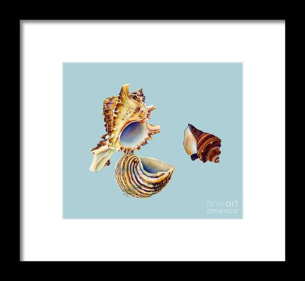 Seashell Framed Print featuring the painting Summer Whispers - solid background by Hailey E Herrera