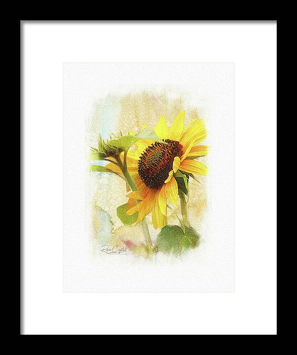 Sunflowers Framed Print featuring the photograph Summer's Big Yellow by Rene Crystal