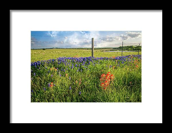 Wildflowers Framed Print featuring the photograph Sun-Drenched Wildflowers in Brenham by Lynn Bauer