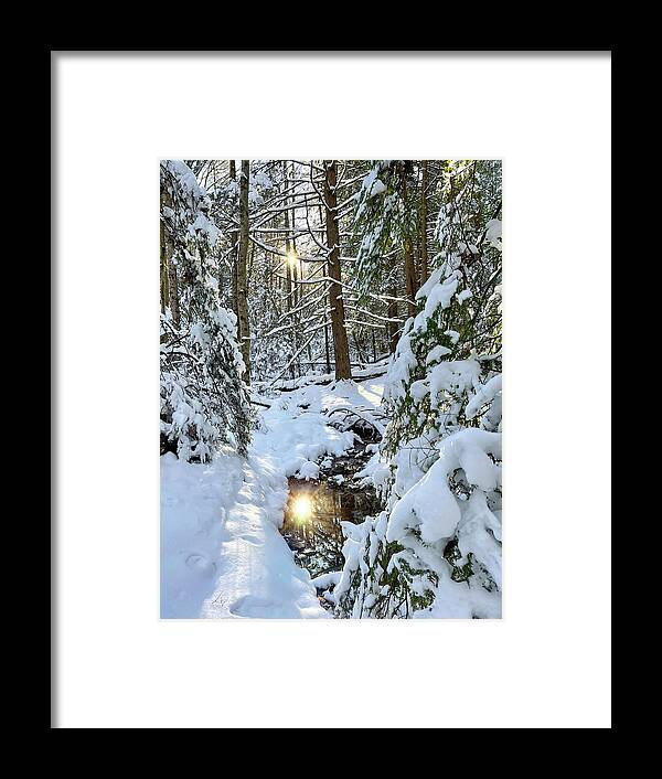 Sunburst Framed Print featuring the photograph Sun pecking through the trees by Dan Friend