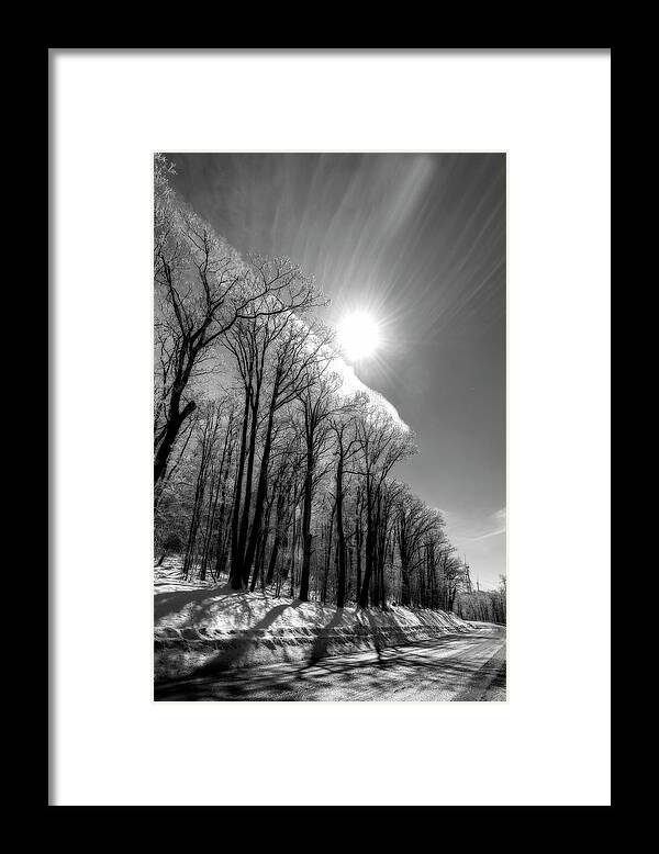 Snow Framed Print featuring the photograph Sun striking tree branches with ice on limbs - BW by Dan Friend