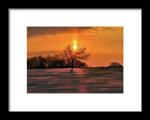 Oak Framed Print featuring the photograph Suncatcher - sunset with sun pillar behind a solitary oak tree in winter WI field by Peter Herman