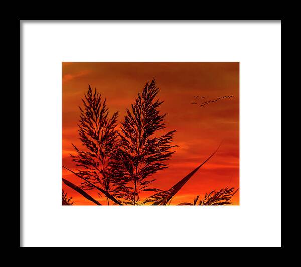 Sunset Framed Print featuring the photograph Sundown by Cathy Kovarik