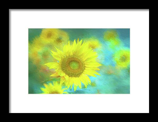Sunflower Framed Print featuring the photograph Sunflower in a field Photography by JBK Photo Art