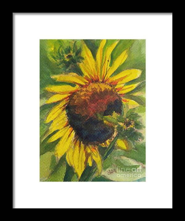 Sunflower Framed Print featuring the painting Sunflower in Full Bloom by Sonia Mocnik