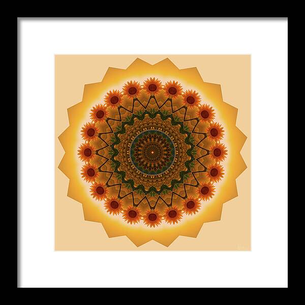 Sunflower Framed Print featuring the photograph Sunflower Mandala #1 - kaleidoscopic view of sunflower by Peter Herman