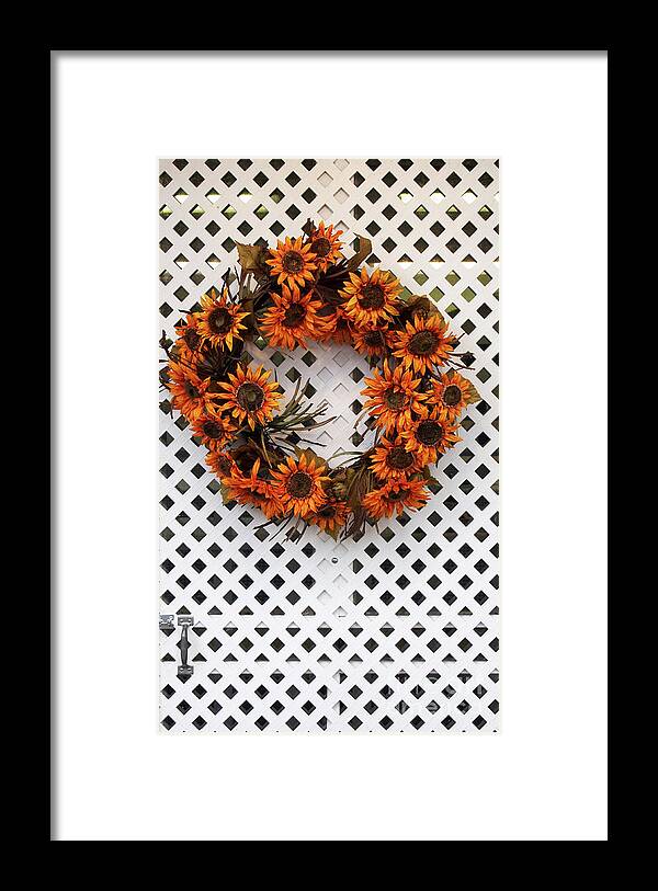 Photography Framed Print featuring the photograph Sunflower Wreath by Dorothy Lee