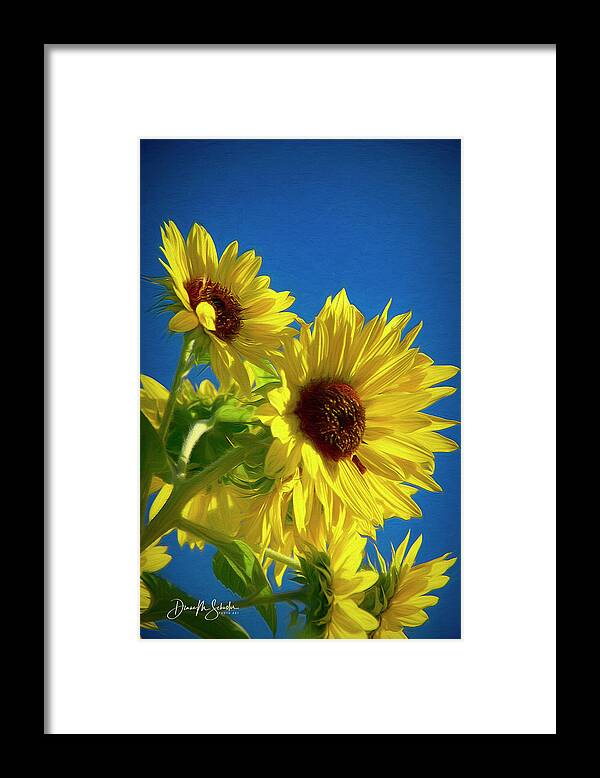 Sunflowers Framed Print featuring the digital art Sunflowers Against A Blue Sky by Diane Schuster