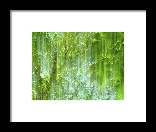 Background Framed Print featuring the photograph Sunlight through Chestnut Trees ICM image by Dutch Bieber
