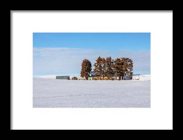 Palouse Framed Print featuring the photograph Sunny winter day by Tatiana Travelways