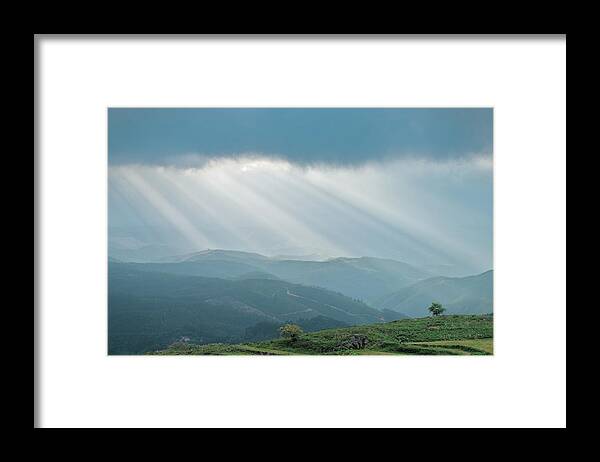 Monchique Framed Print featuring the photograph Sunrays over little trees in Monchique by Angelo DeVal
