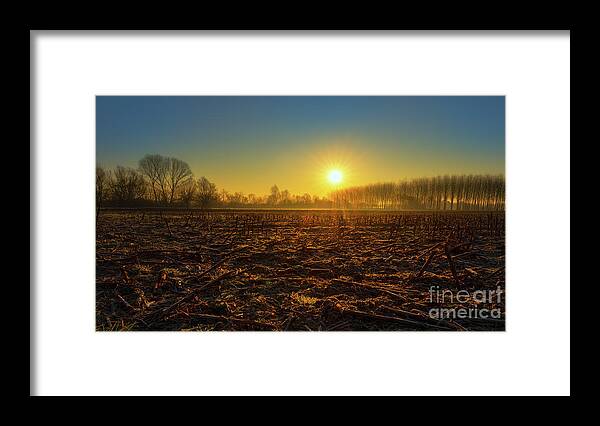 Forest Framed Print featuring the photograph Sunrise in the countryside II by The P