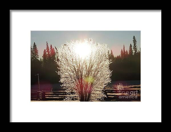 Sunrise Framed Print featuring the photograph Sunrise on the meadow. by Nicola Finch