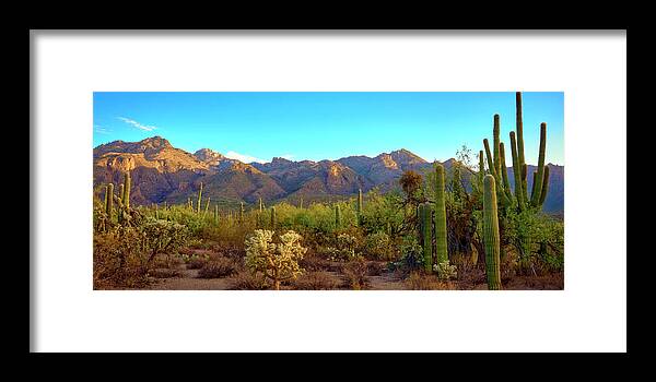 Sabino Canyon Framed Print featuring the photograph Sunrise Over Sabino Canyon by Chris Anson