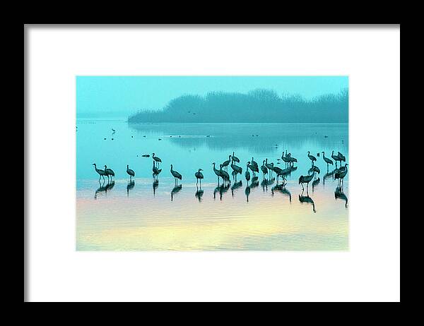 Dubi Roman Framed Print featuring the photograph Sunrise over the Hula Valley Israel 4 by Dubi Roman