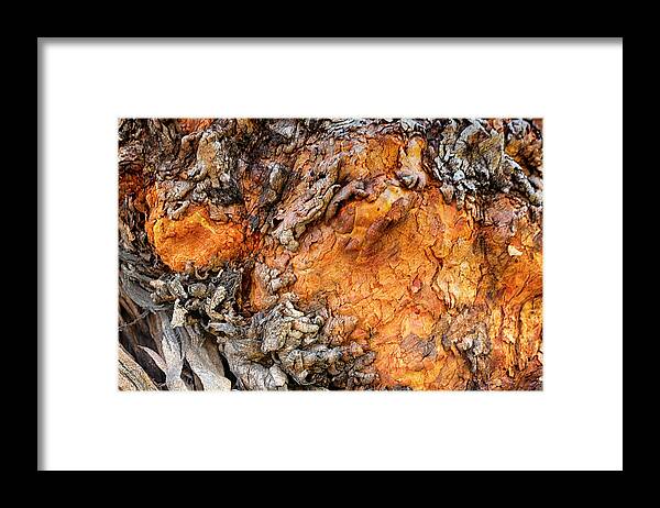 Australia Framed Print featuring the photograph Sunset Bark by Jay Heifetz