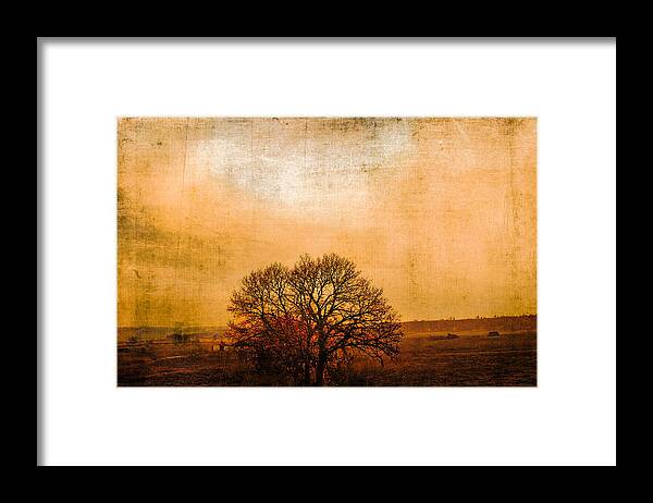 Nature Framed Print featuring the photograph Sunset beauty by Yasmina Baggili