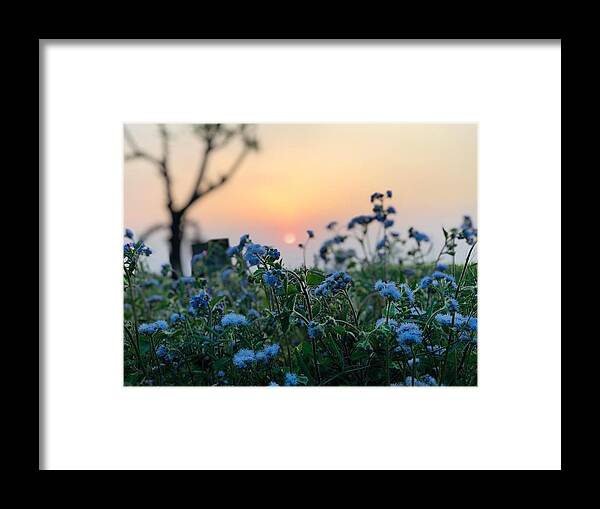 Flowers Framed Print featuring the photograph Sunset Behind Flowers by Prashant Dalal