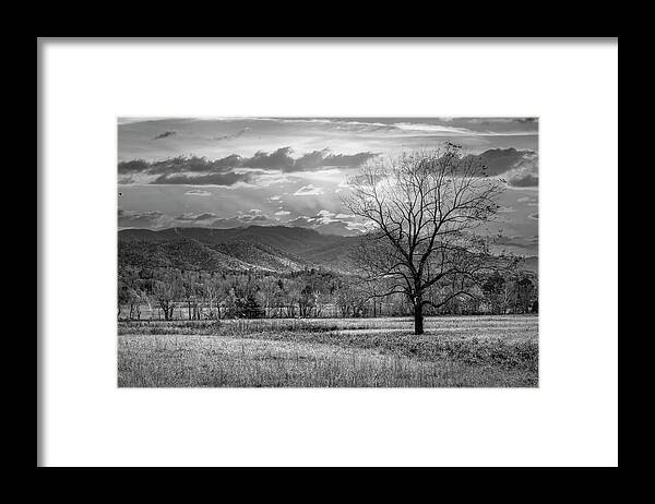Tree Framed Print featuring the photograph Sunset Clouds in Cades Cove Black and White by Debra and Dave Vanderlaan