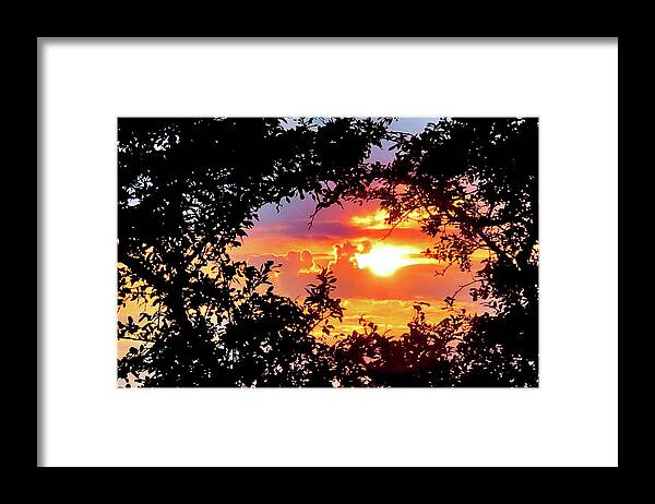 Sunset Framed Print featuring the photograph Sunset Framed by Nature by Linda Stern