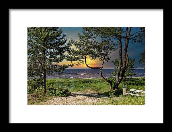 Golden Light Framed Print featuring the photograph Sunset In My Jurmala Latvia by Aleksandrs Drozdovs