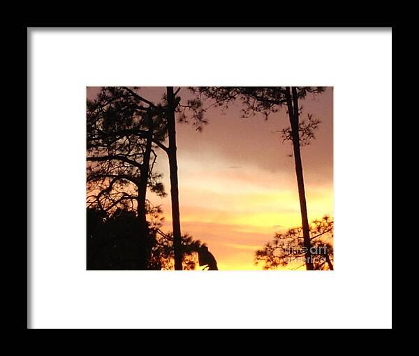Sunset Framed Print featuring the photograph Sunset in Palm Coast by Jimmy Clark