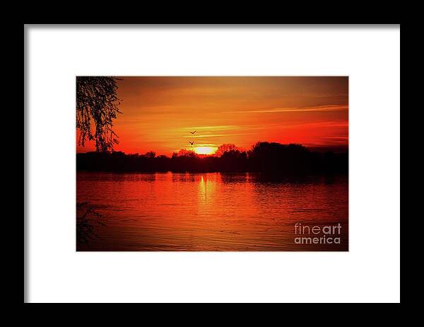 Harmony Framed Print featuring the photograph Sunset Love III by Leonida Arte
