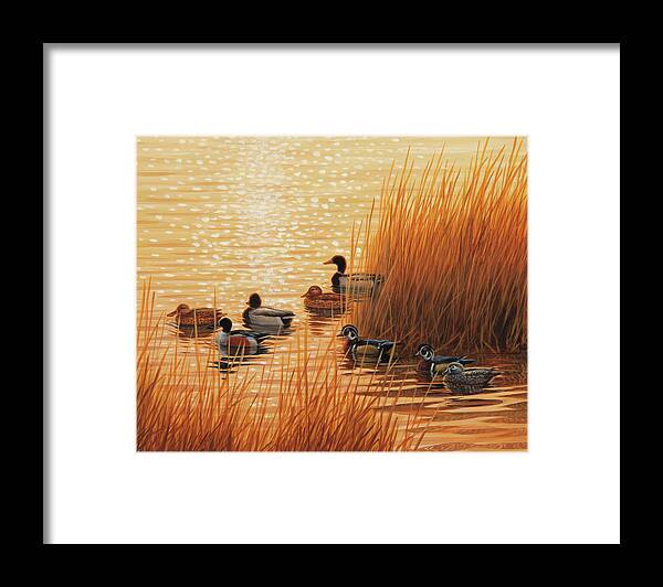 Ducks Framed Print featuring the painting Sunset Mixer by Guy Crittenden