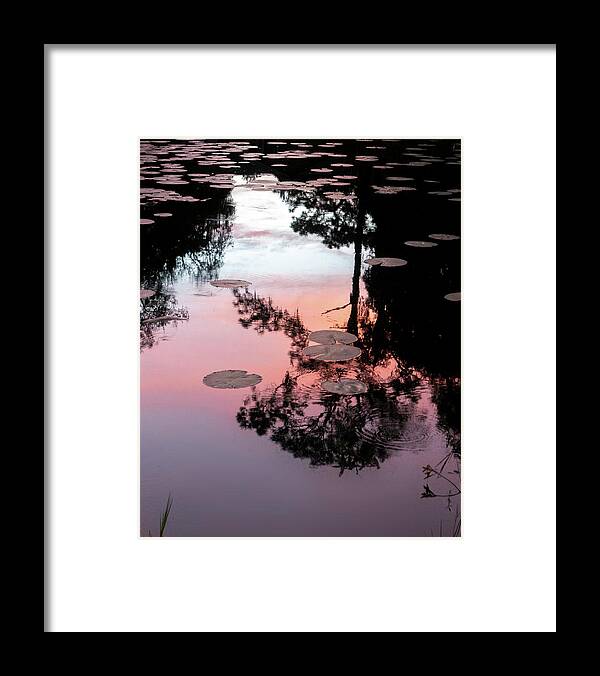 Reflection Framed Print featuring the photograph Sunset on a Florida pond by Karen Rispin