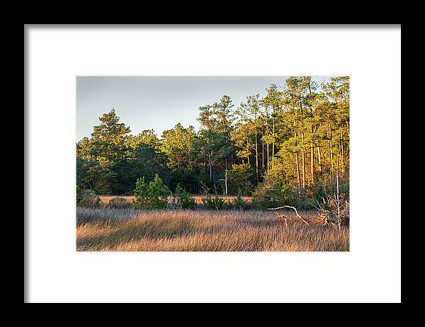 Sunset Framed Print featuring the photograph Sunset on Core Creek Marsh in North Carolina by Bob Decker