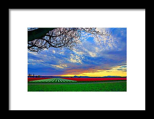 Landscape Framed Print featuring the photograph Sunset On Tulip Fields by Bill TALICH