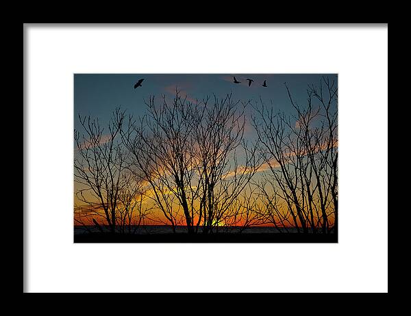Sunset Framed Print featuring the photograph Sunset Through The Trees by Cathy Kovarik